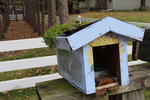 Mailbox_2ce7d