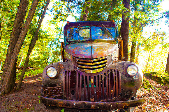 Color Truck_1e1d4