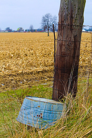 rural color_5b5