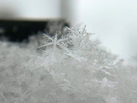 snowflake_0437
