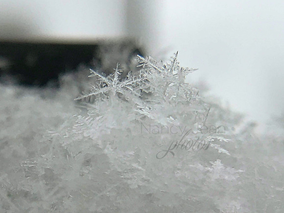 snowflake_0437