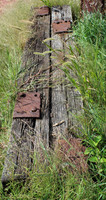 The ties that bind_2c56a