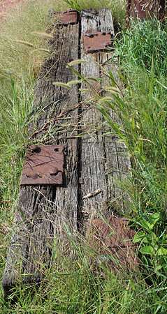 The ties that bind_2c56a