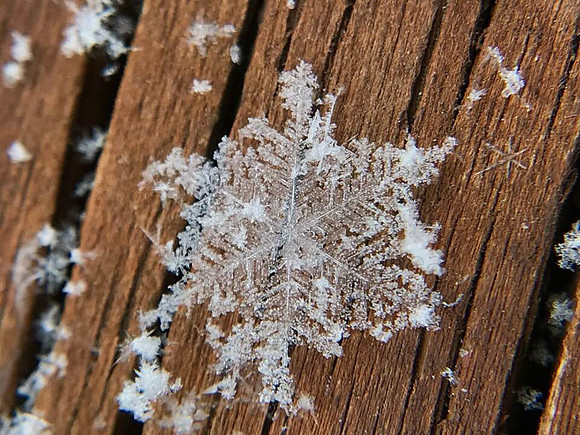 snow day