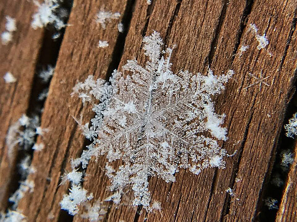 snow day