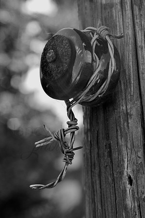 random rural interest_2c5cf