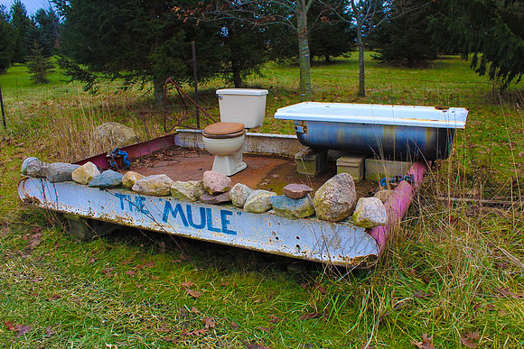 the Mule_5a8-2