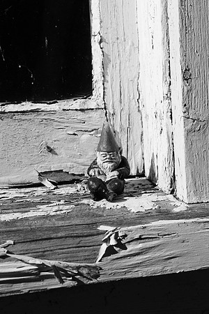 window gnome.BW_2830f