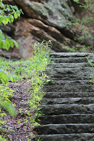 Trail stairs_20c78