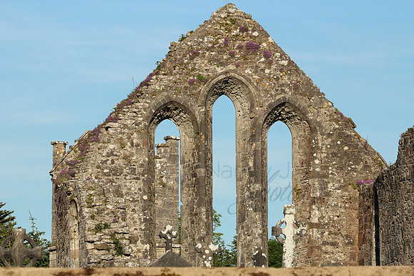 Ireland_2098a