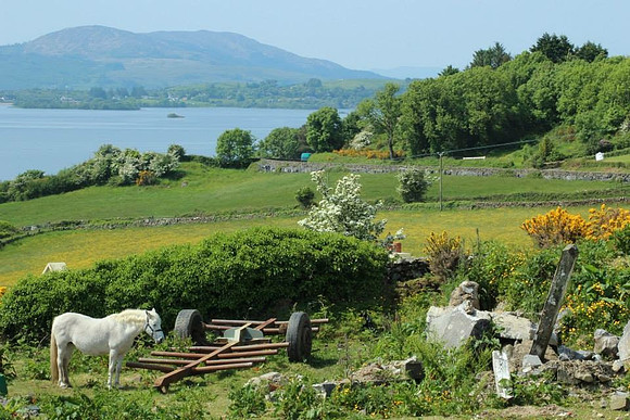 Ireland landscape_2c54b