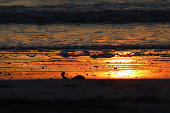 Sunset Beach_20761