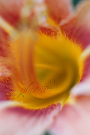Up close and personal 1_2b51d