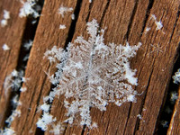 snow day