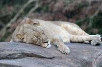 Nap time