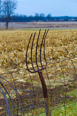 Pitch fork fence_59c