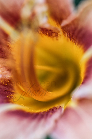 Up close and personal 2_2b51d