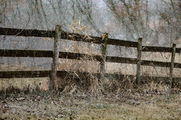 IMG_7930