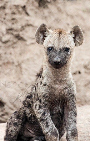 South Africa_23527