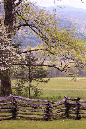 Picture Perfect_20d06