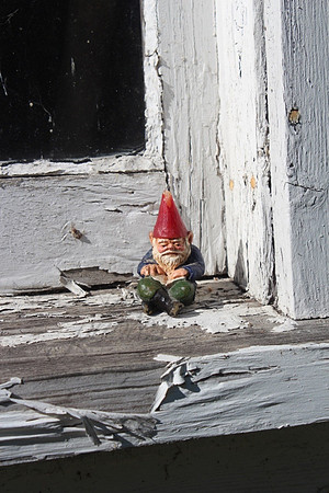 Window Gnome_2831a